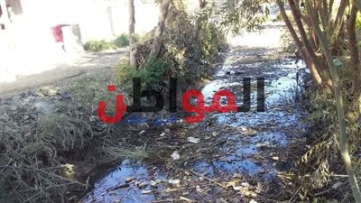 أهالي عزبة راجح بسوهاج يستغيثون: ترعة الشيخ سالمان خطر يداهم حياتنا