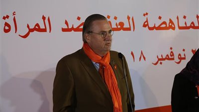 منسق الأمم المتحدة في القاهرة: العنف ضد المرأة وباء يؤثر على حياتها اليومية