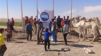 صور.. الوادي الجديد تنظم مهرجان لرياضة الهجن بمركز باريس 