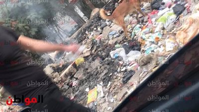 أهالي أبو رجيلة يستغيثون.. انتشار القمامة بحي السلام أول
