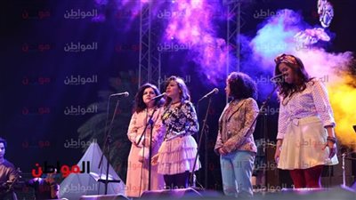 فيديو| غنا وضحك ومووايل.. 