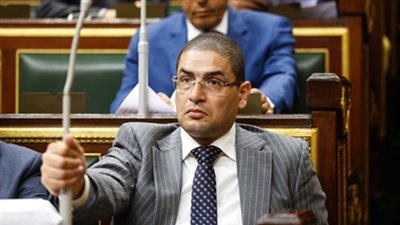 محمد أبو حامد: تصدير الكلاب والحيوانات مخالف للدستور