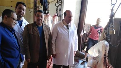 جزار يعتدي على طبيب بيطري ببني سويف.. والنقابة: تم وقف الجزار