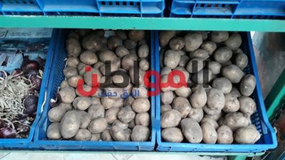 انخفاض جديد في أسعار البطاطس والطماطم بأسواق بني سويف