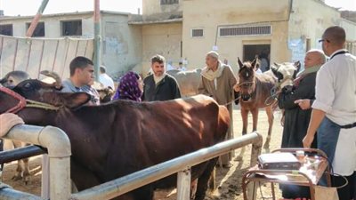 بيطري الغربية ينظم قافلة علاجية بقرية الانبوطين في السنطة