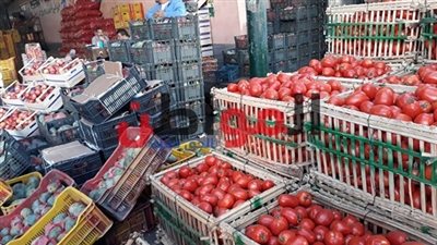 انخفاض أسعار الخضروات والفاكهة بأسواق كفر الشيخ اليوم 