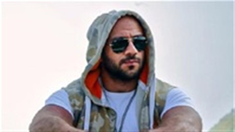 الفنان أحمد مكى 