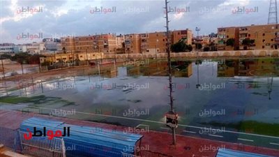رسميا.. تأجيل مباراة المحلة والحمام للخميس القادم