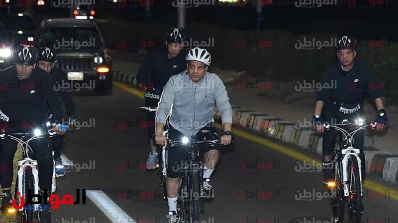 السيسي
