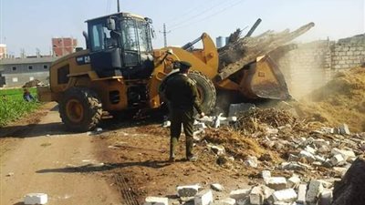 تفاصيل إزالة 1014 حالة تعدِ على الأراضي الزراعية بمساحة 79 فدان بالشرقية