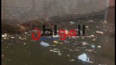 فيديو.. مياه الصرف الصحي تغرق قرية ششت الانعام بالبحيرة