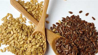 البذور.. وجبات خفيفة وصحية على معدة ابنك