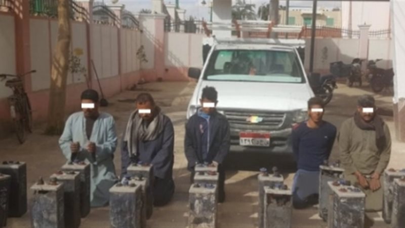 المواطن