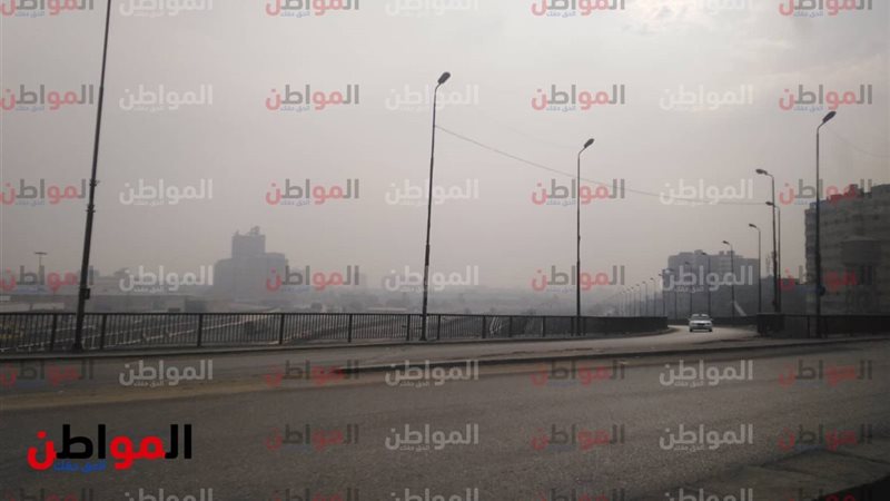 المواطن