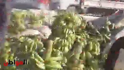 فيديو.. انقلاب سيارة محملة بالموز أعلى الطريق الدائرى اتجاه الجيزة 