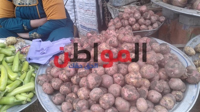 المواطن