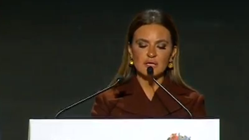 وزيرة الاستثمار 
