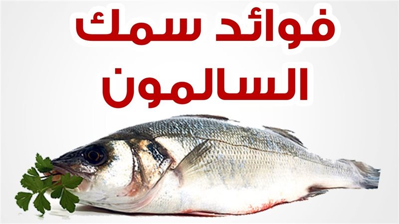 سمك السلمون