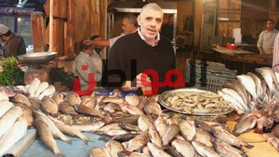 فيديو وصور.. أسعار الأسماك بالإسكندرية اليوم الثلاثاء.. تعرف عليها
