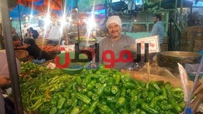 صور.. أسعار الخضروات في البحيرة اليوم الثلاثاء.. تعرف عليها 