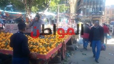 صور.. أسعار الفاكهة بأسواق البحيرة اليوم الثلاثاء