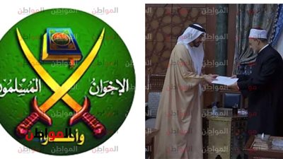 الإمارات تُعلي من قدر شيخ الازهر بـ 