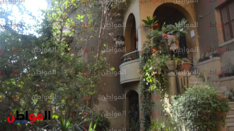 بيت محمود شكوكو