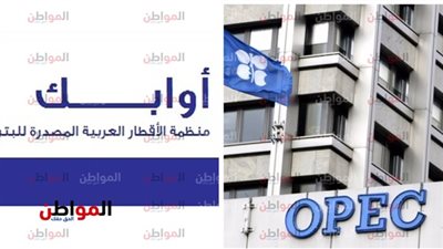تحديات تواجه أوبك بعد خفض صداراتها الإيرانية 