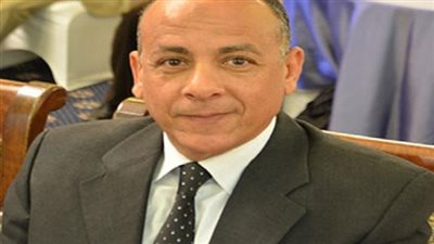 مصطفى وزيري: شركة مصرية تتولى إدارة المناطق الأثرية خلال أيام