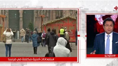 باحث فرنسي: المظاهرات لن تتوقف رغم رفع الحد الأدني للأجور 