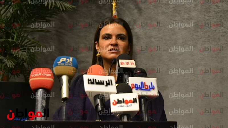 وزيرة الاستثمار 