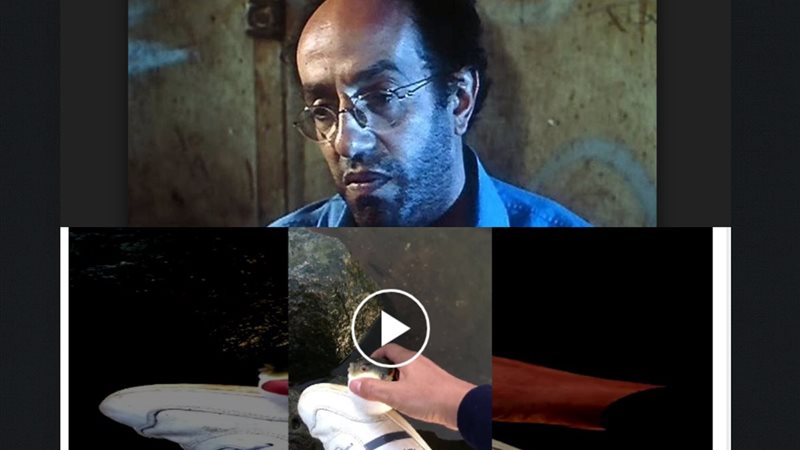  شاب يستخدم سمكة