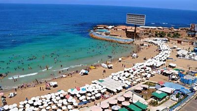 حصاد سبتمبر 2018 بالإسكندرية| العثور على دولفين نافق.. وتوزيع 1.7 طن لحوم أضاحي