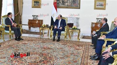 فيديو.. السيسي : يجب تعزيز التعاون بين مصر ومنظمة اليونيدو