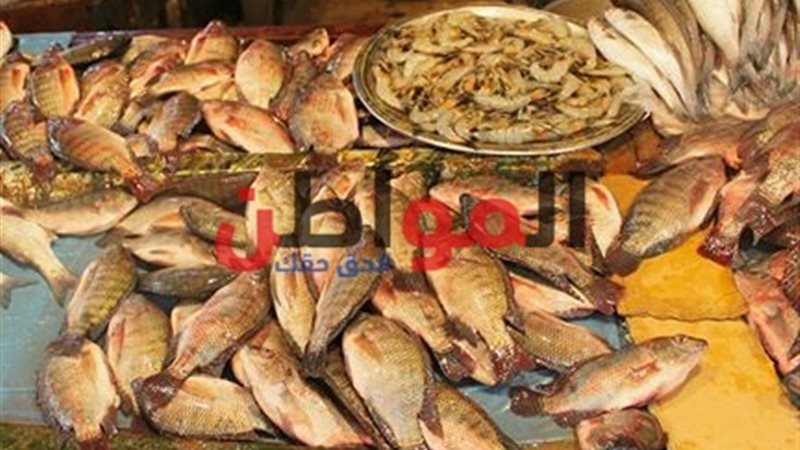 أسعار الأسماك اليوم