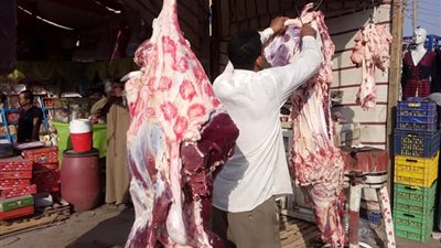 أسعار اللحوم والفراخ والأسماك والبيض بأسواق بني سويف