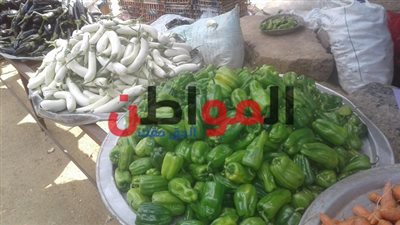 سعار الخضروات بأسواق بني سويف.. تعرف عليها