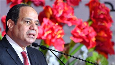 كيف يصطاد الإخوان في الماء العكر لتهميش ما يفعله الرئيس؟