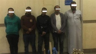 سقوط 5 أشخاص أثناء التنقيب عن الآثار بالمعصرة