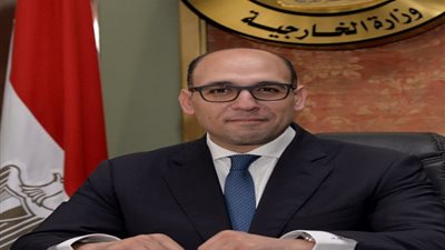 الخارجية تنفي سحب السفير المصرى في روما