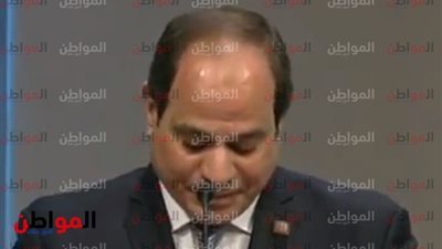  الرئيس السيسى يبث بشرى للمصريين من النمسا 