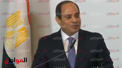  الرئيس السيسى من فيينا: هذا ما تحدثت فيه مع المستشار النمساوى 