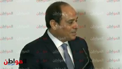  اتفاق هام أعلن عنه الرئيس السيسى فى مؤتمره مع المستشار النمساوى كورتز 