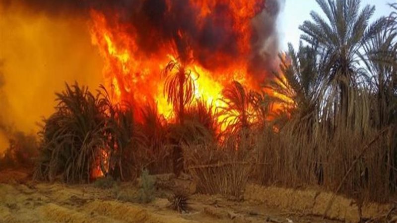 اندلاع حريق في مزرعة