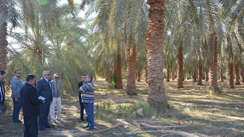 تطوير محطة البحوث