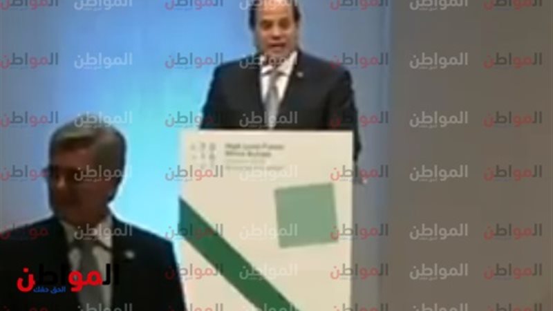 الرئيس السيسى ونجاح