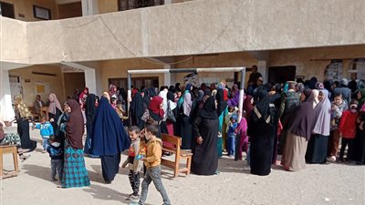 انتخابات طامية التكميلية .. إغلاق لجنة بقرية الروضة  لهذا السبب !