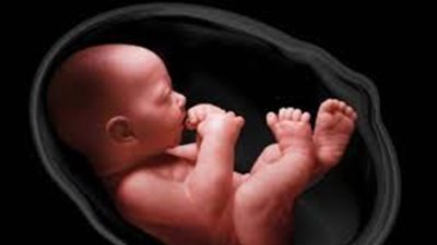 أستاذ علم النفس الإرشادي بجامعة القاهرة لـ