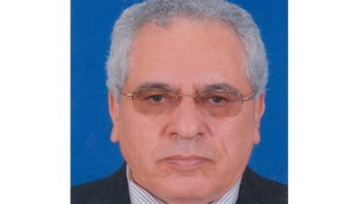 أستاذ الاقتصاد الزراعي في جامعة القاهرة: هذه أهمية الصوب الزراعية