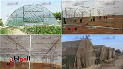 لحظة بلحظة.. افتتاح الرئيس السيسي لمشروع الصوب الزراعية في العاشر من رمضان